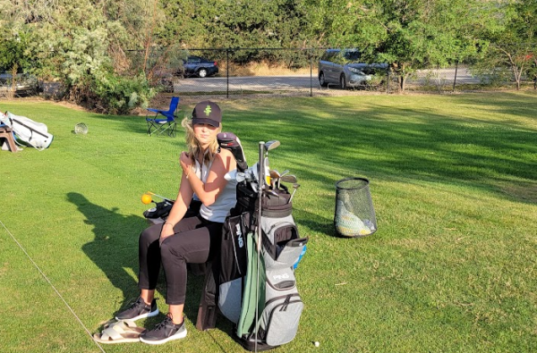 Picture for category Frenzy Golf Accessories