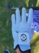 Picture of Frenzy Glove White